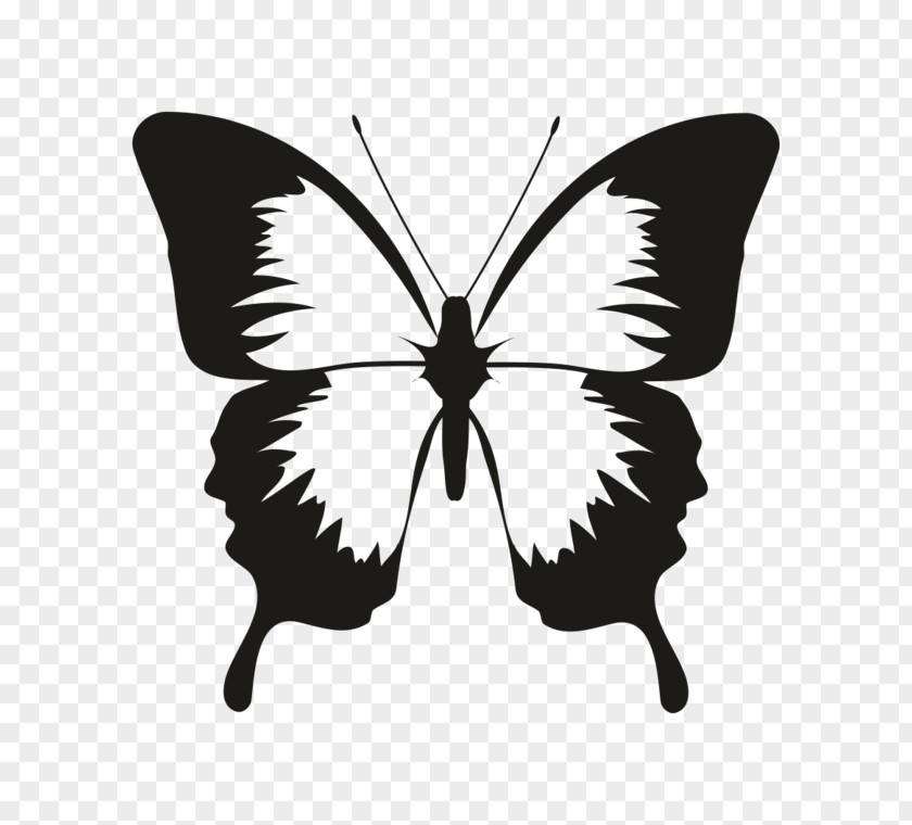 Animal Rubber Stamps Butterfly Silhouette Vector Graphics Clip Art Insect PNG