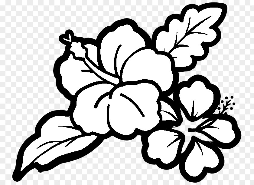 Carnation Floral Design Visual Arts Leaf Petal PNG