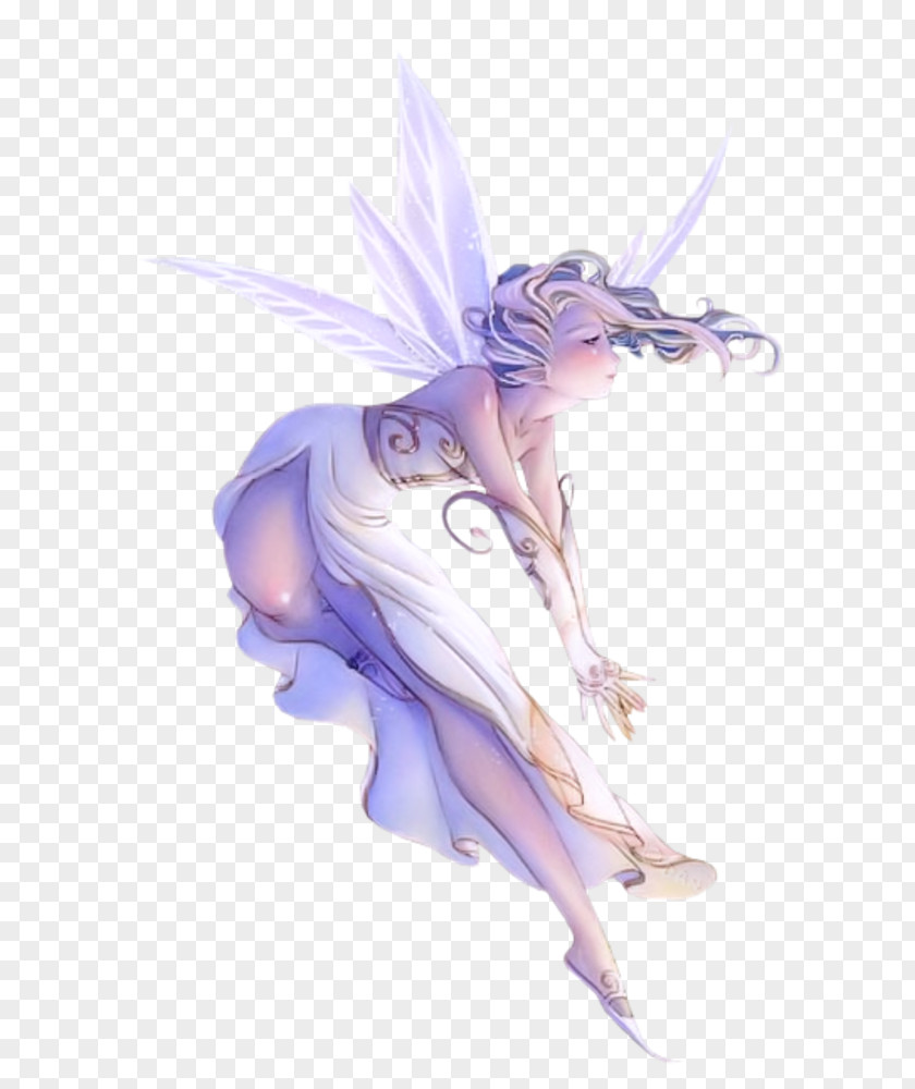 Fairy Elf Dungeons & Dragons Fantasy Desktop Wallpaper PNG