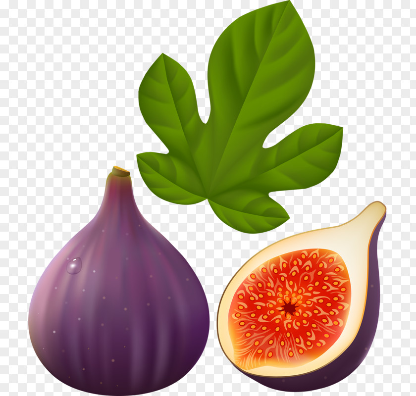 Fig Fruit Common Leaf Clip Art PNG