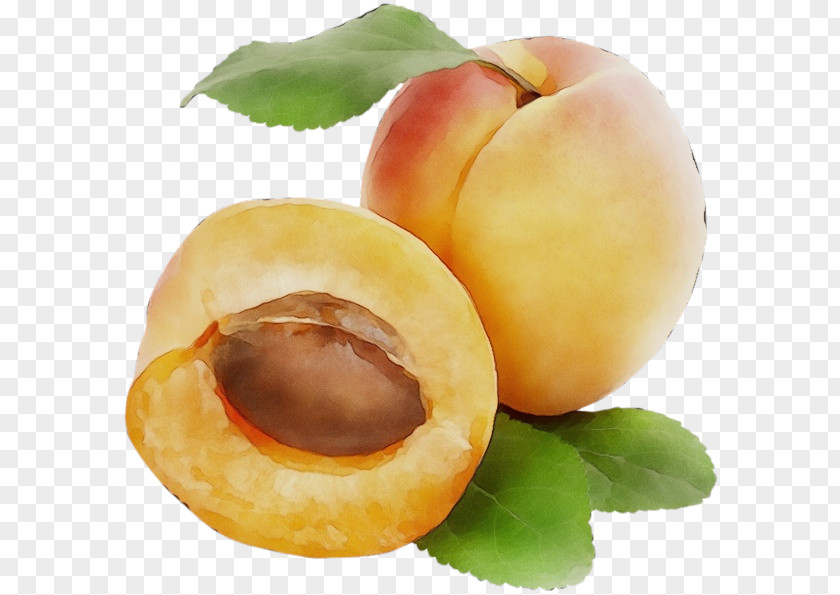 Ingredient Peach European Plum Food Fruit Plant Apricot PNG