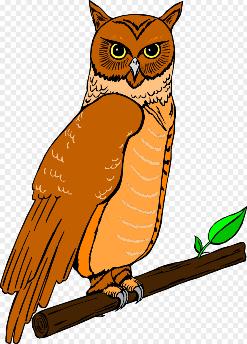 Owl Illustration Elf Clip Art PNG