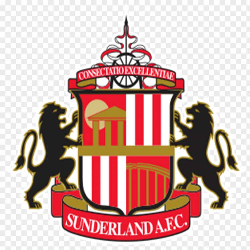 Premier League Sunderland A.F.C. Birmingham City F.C. FIFA 18 EFL Championship PNG