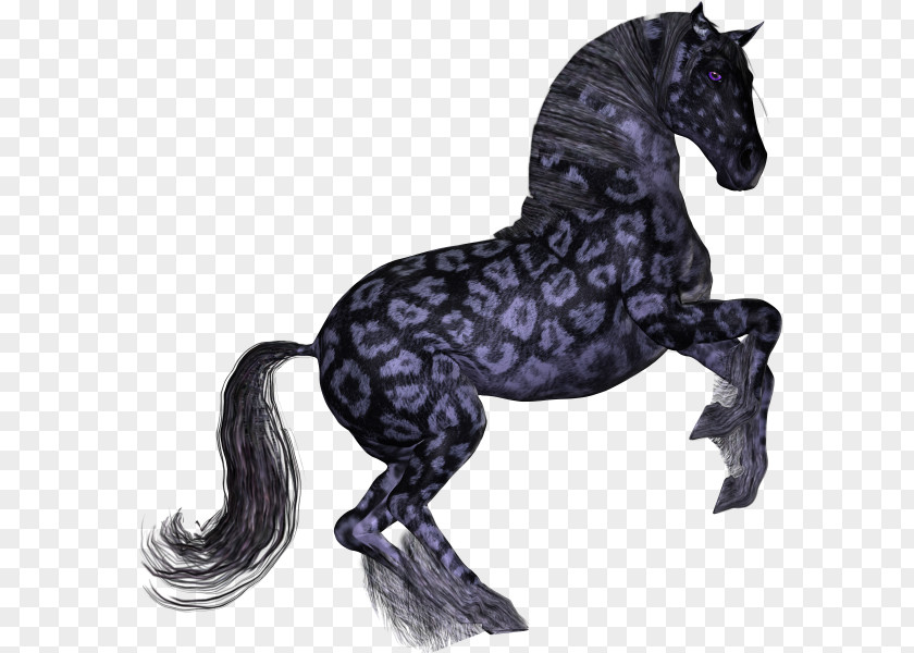 Mustang Mane Pony Friesian Horse American Paint PNG