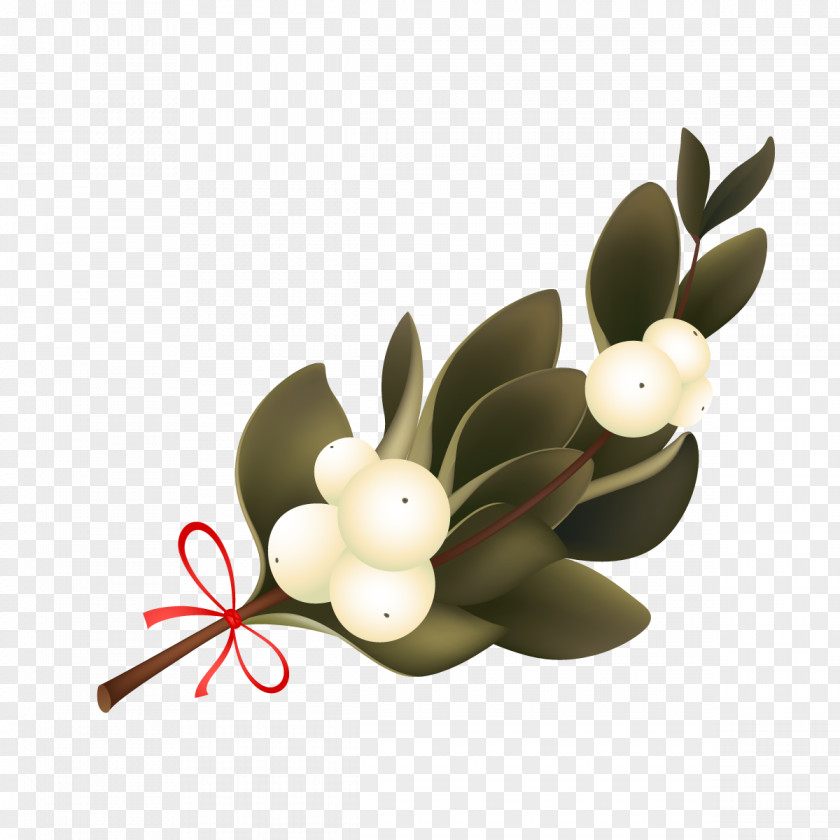 Vector Pear Tree PNG