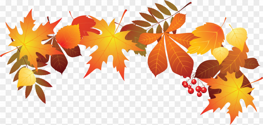Withered Autumn Leaves World Teachers Day Leaf PNG
