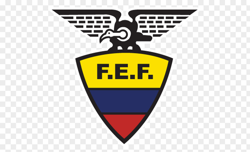 Football Ecuador National Team 2014 FIFA World Cup Argentina Venezuela PNG