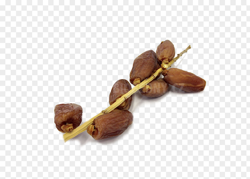 Jewellery Tree Nut Allergy VY2 PNG