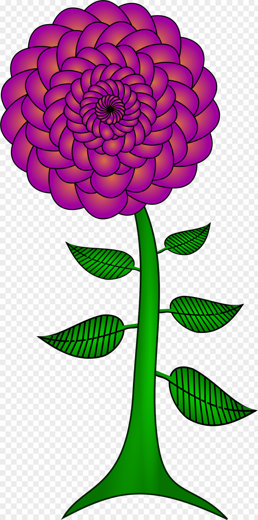 Paisly Floral Design Clip Art PNG