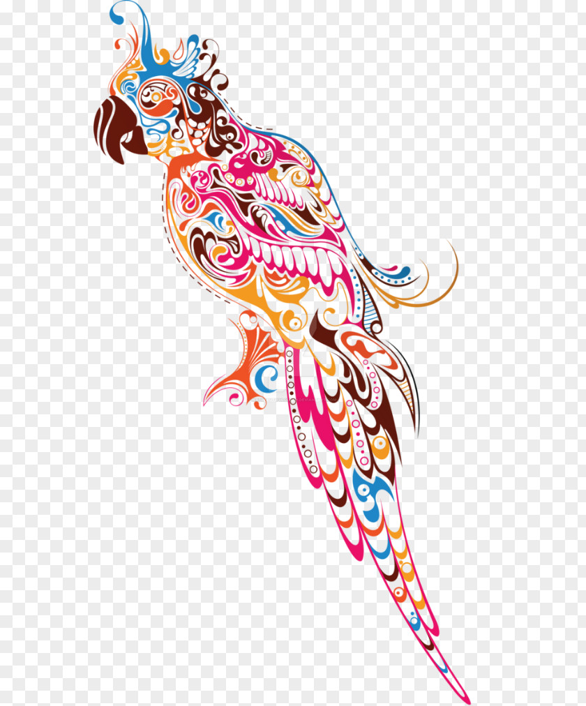 Abstracts Parrot Drawing Color Bird Clip Art PNG