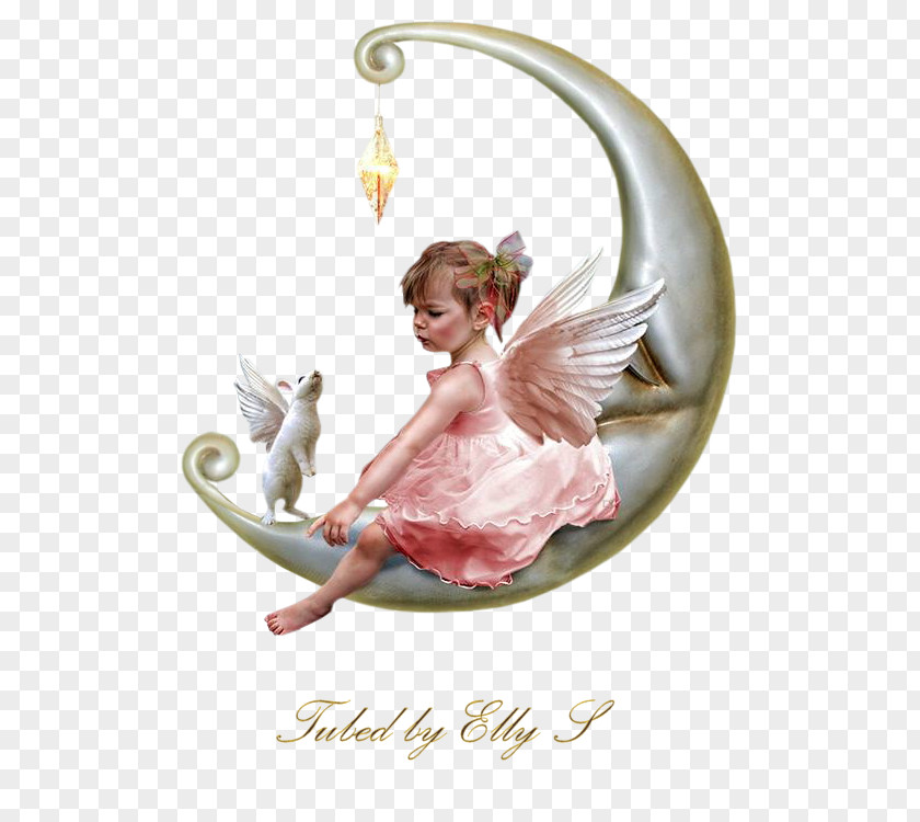 Angel Infant Child Fairy Moon PNG