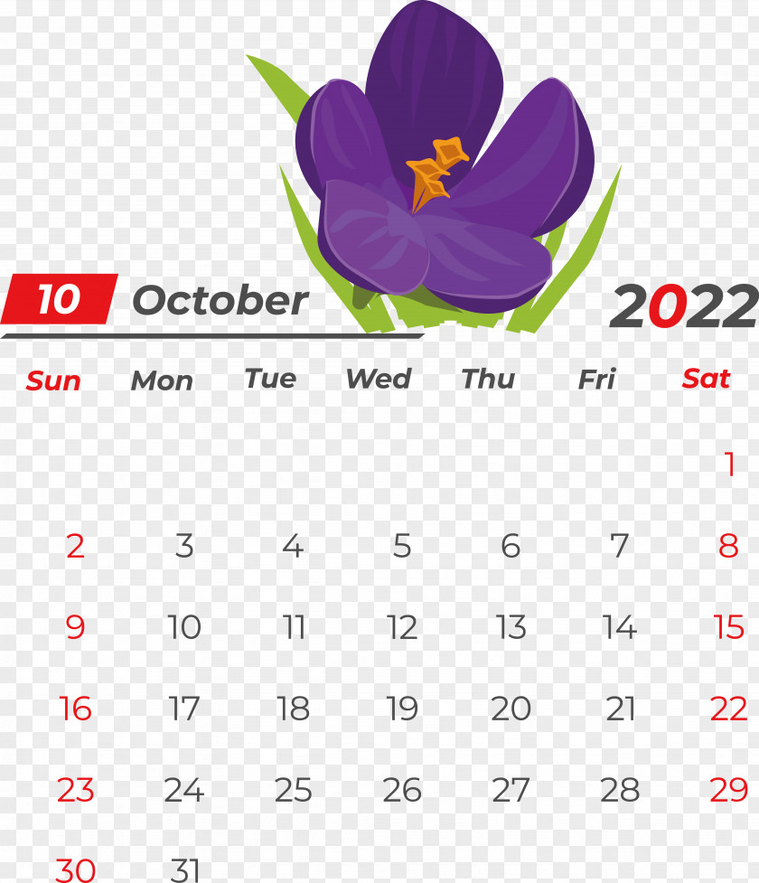 Calendar Flower Magenta Meter PNG