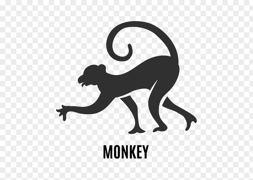 Chinese Monkey Zodiac Dragon Astrological Sign Astrology PNG