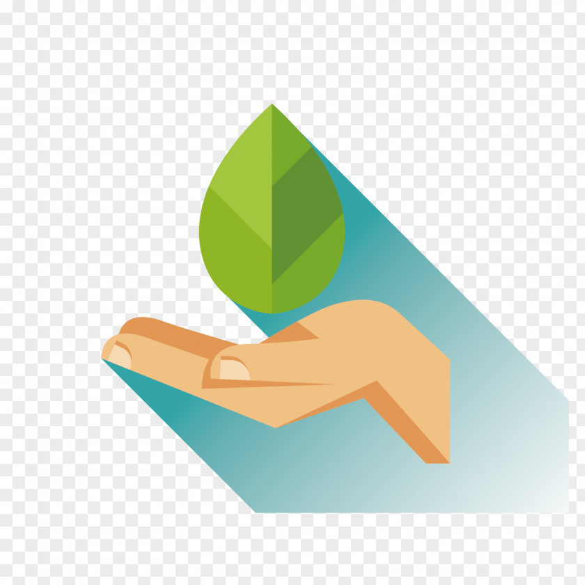 Holding The Leaves Vector From Time To Euclidean Illustration PNG