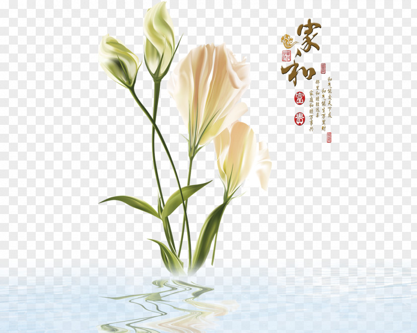 Home And Lilies Glass Window Justdial PNG