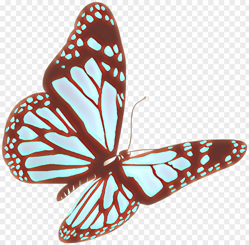 Butterfly Stock Photography Image Color Illustration PNG