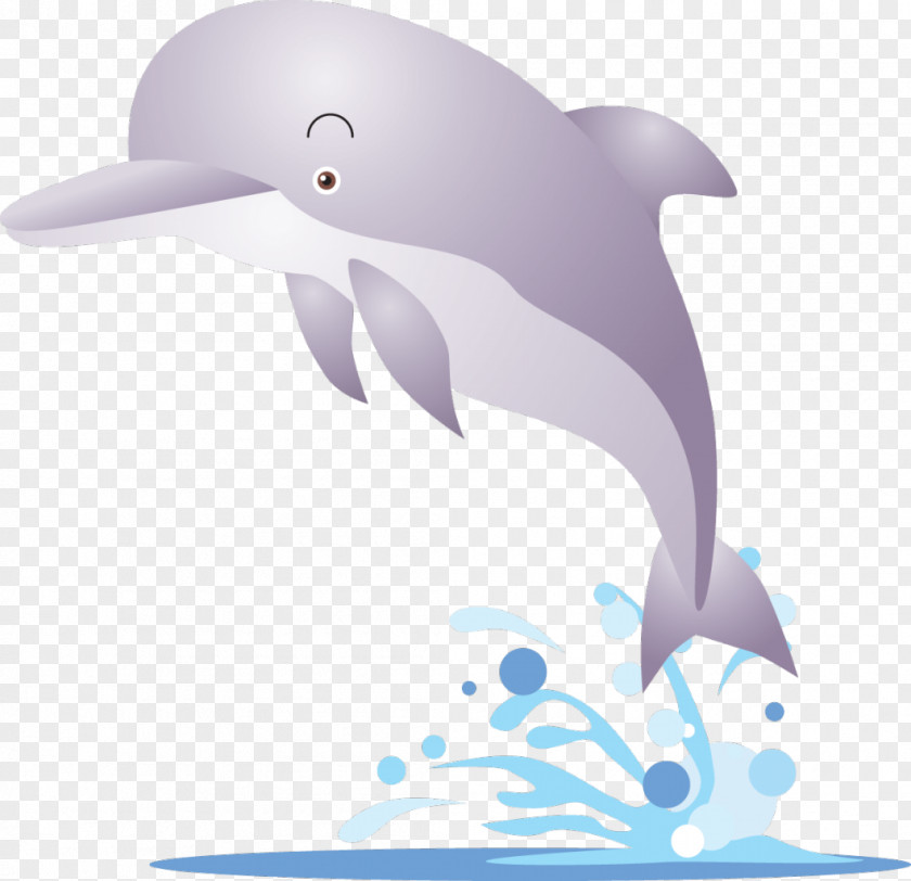 Dolphin Karadag Dolphinarium Clip Art PNG
