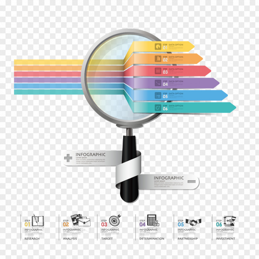 Infographic Vector Magnifying Glass Finance Chart PNG