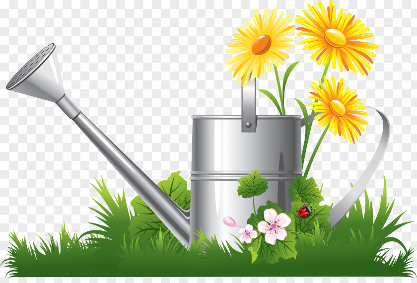 Kitchen Tools Chamomile Clip Art PNG