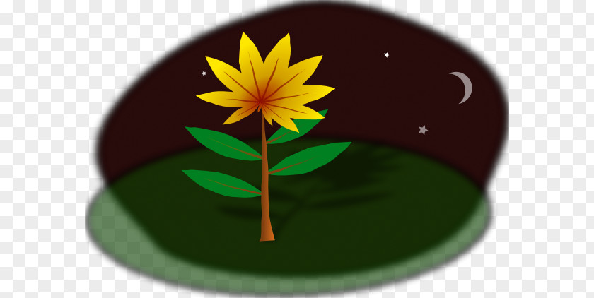 Night Jasmine Flower Clip Art Vector Graphics Image Desktop Wallpaper PNG