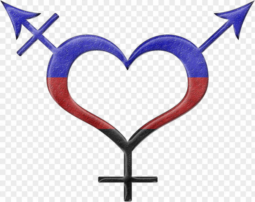 Symbol Gender Pansexuality Pansexual Pride Flag LGBT Symbols PNG