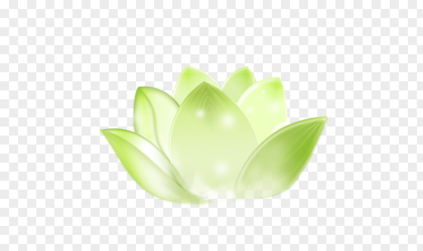 Transparent Green Leaf Yellow Image Sacred Lotus Designer PNG