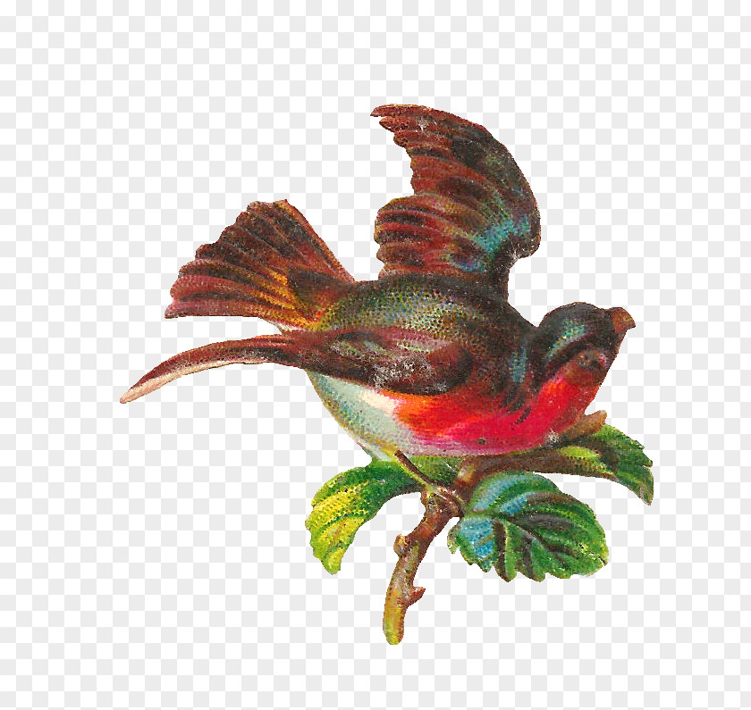 Vintage Birdcage Bird Clip Art PNG