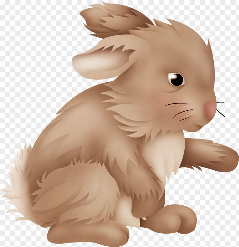Cute Brown Bunny Easter Domestic Rabbit Hare PNG