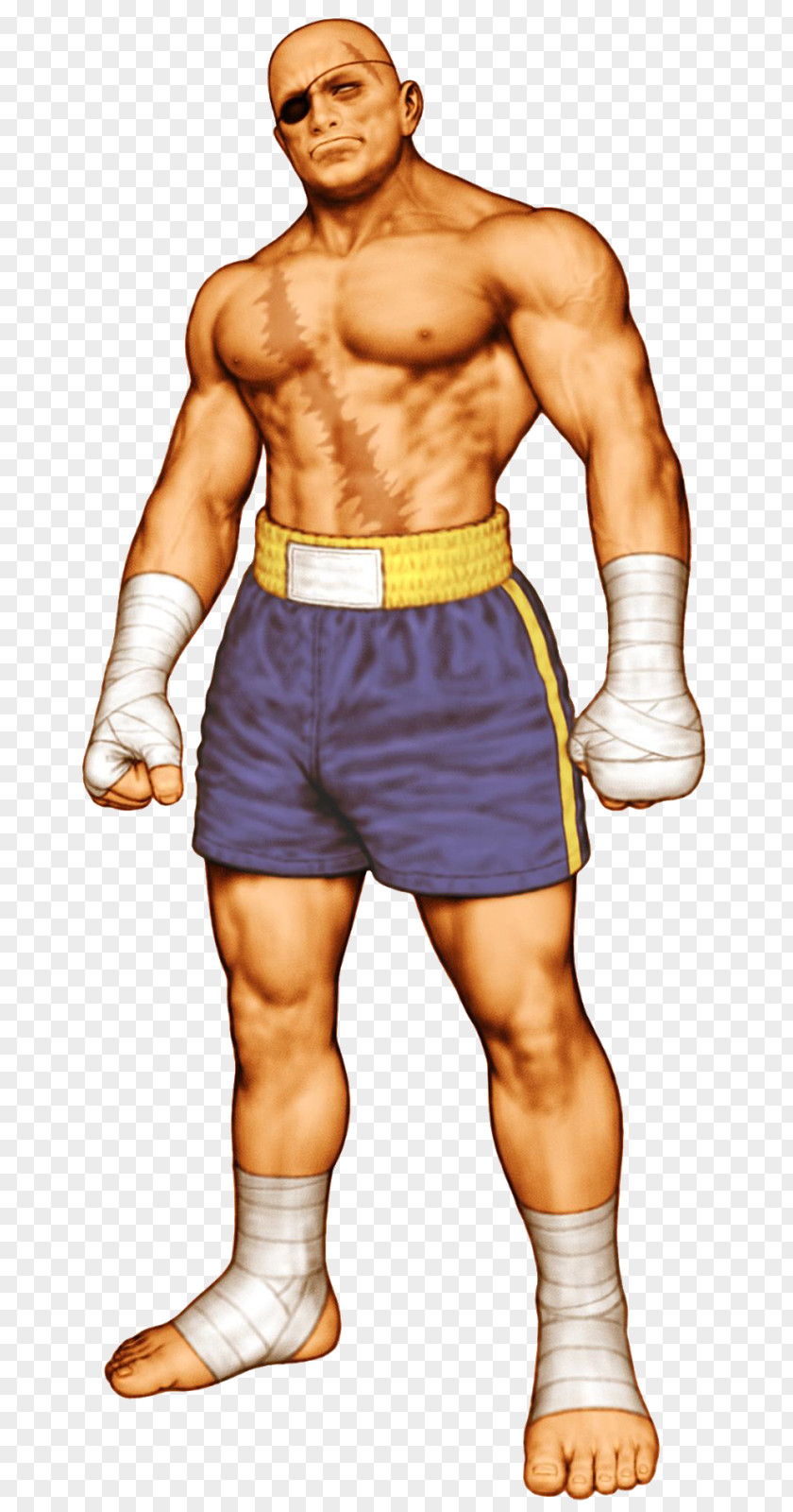 Street Fighter Sagat Ryu Akuma Blanka PNG