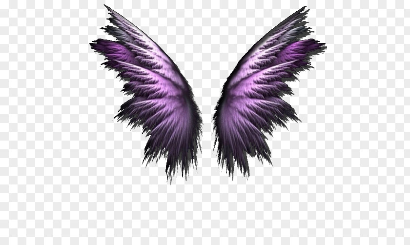 Wings Clip Art Openclipart Color Image PNG