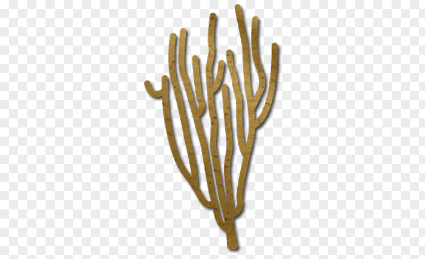 Benthic Coral Alcyonacea Briareum Asbestinum Algae PNG
