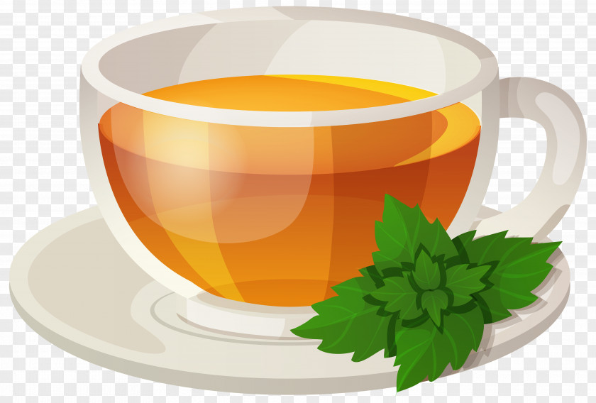 Cup Tea Green Sencha Drink Rooibos PNG