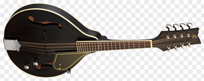 Electric Guitar Cavaquinho Mandolin Tiple Bridge PNG