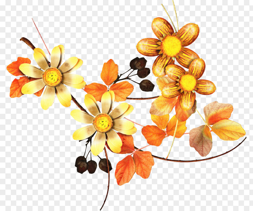 Hair Accessory Bouquet Floral Flower Background PNG