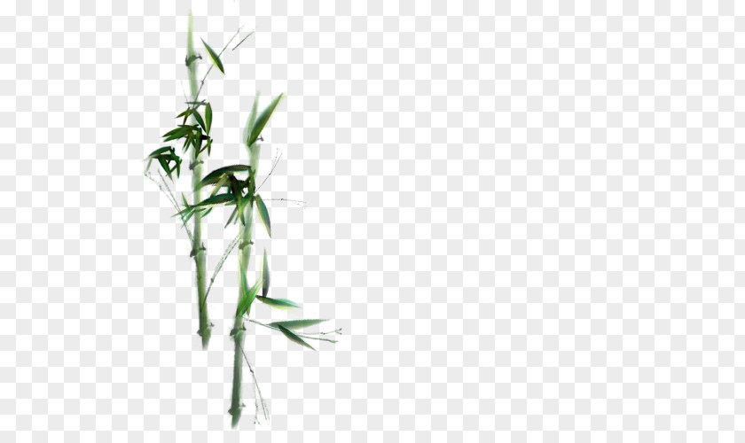 Hand-painted Bamboo Twig Plant Stem PNG