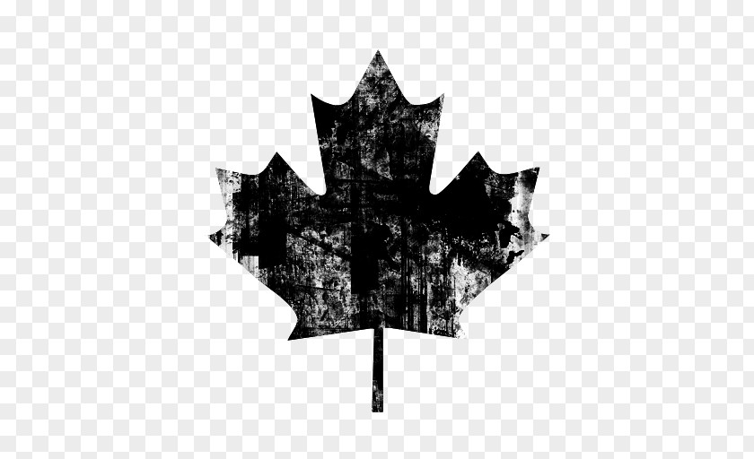 Maple Leaf Background Flag Of Canada PNG