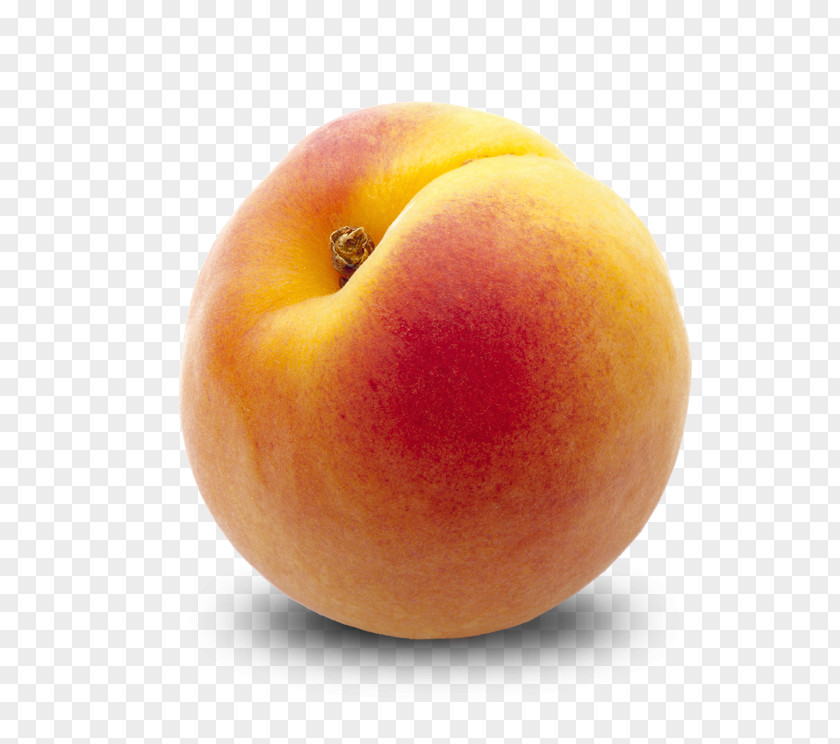 Peach Peaches Apricot Fruit Desktop Wallpaper Eating PNG
