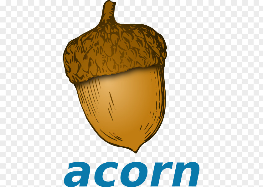 Acorn Clip Art PNG