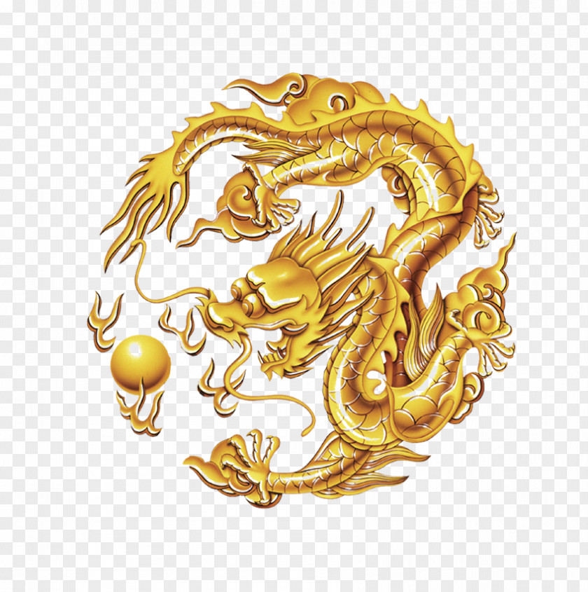 Golden Dragons Pattern China Draco Dragon Home Loans Pty Ltd PNG