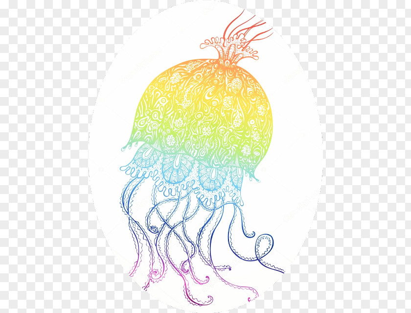 Plant Fruit Drawing Jellyfish PNG