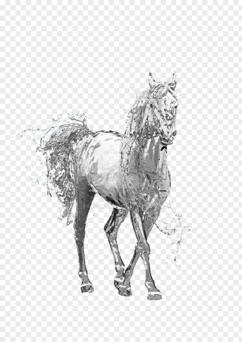 Seahorse Horse Stallion Clip Art PNG