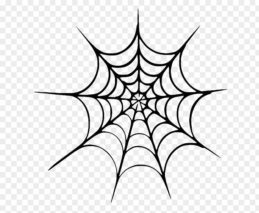 Spider Web Transparent Background Clip Art Vector Graphics Design PNG