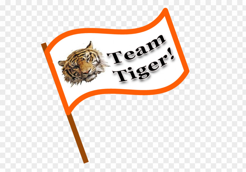 Tigger Tiger Home & Building Inspections Bengal Lion House White PNG
