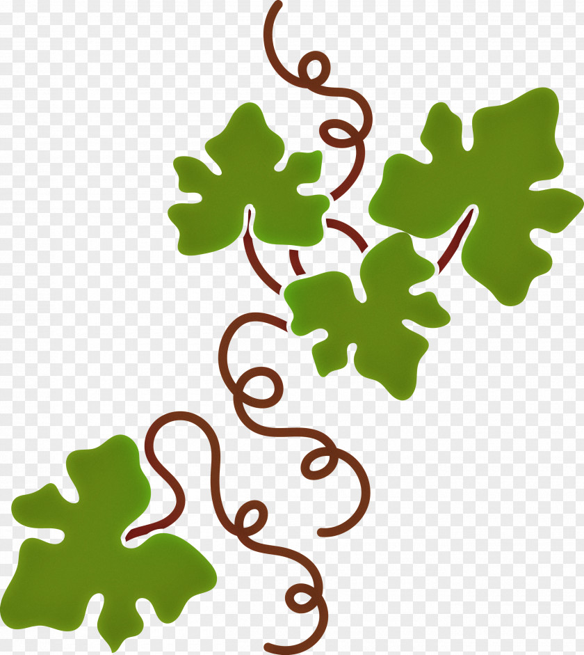 Floral Design PNG