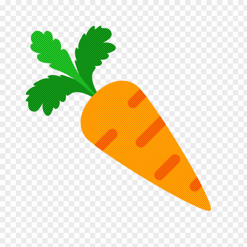 Parsley PNG