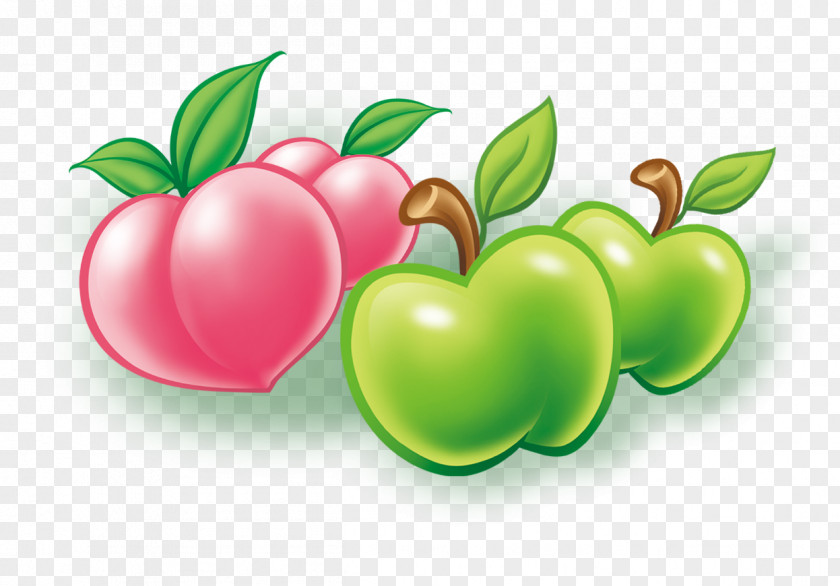 Peach Fruit Computer File PNG