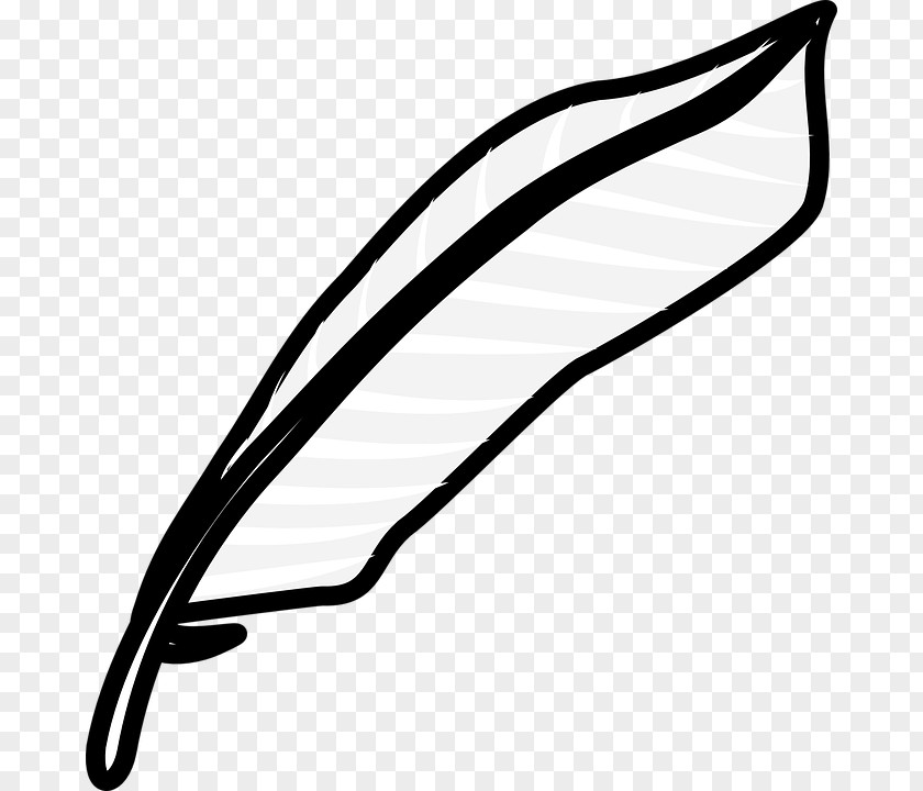 Pen Paper Quill Clip Art PNG