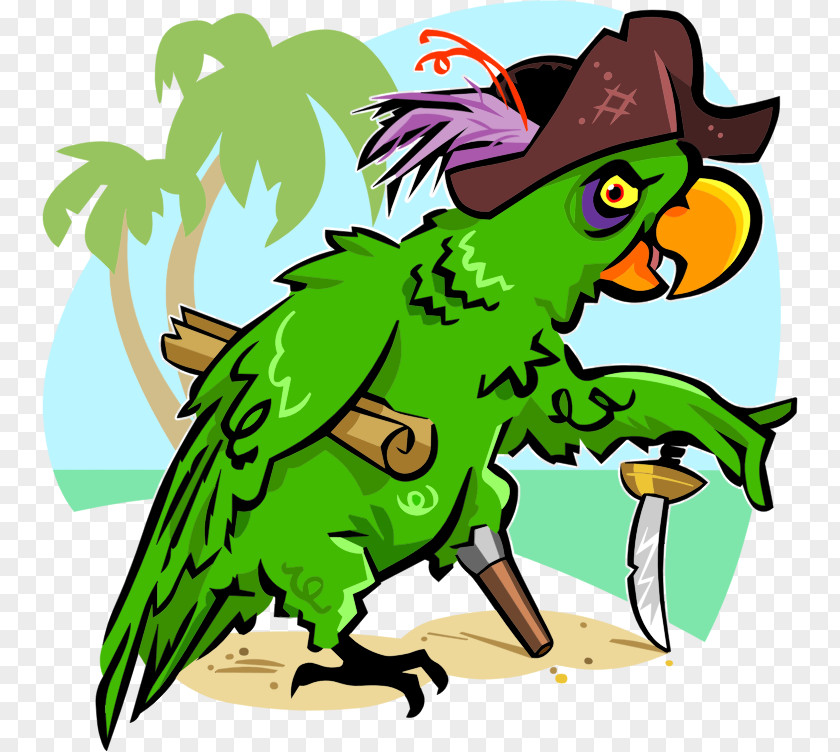 Pirate Parrot Bird Cockatoo Piracy Cartoon PNG