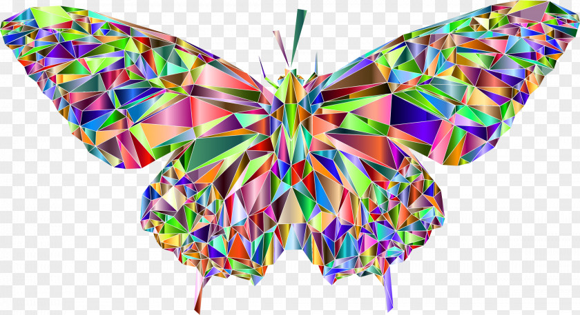 Colorful Butterfly YouTube Desktop Wallpaper PNG