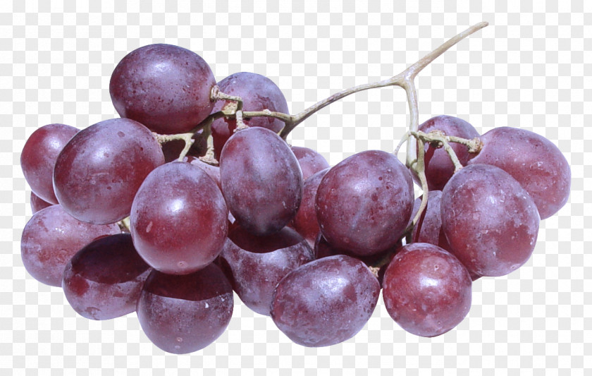 Grape Fruit Grapevine Family Vitis Plant PNG